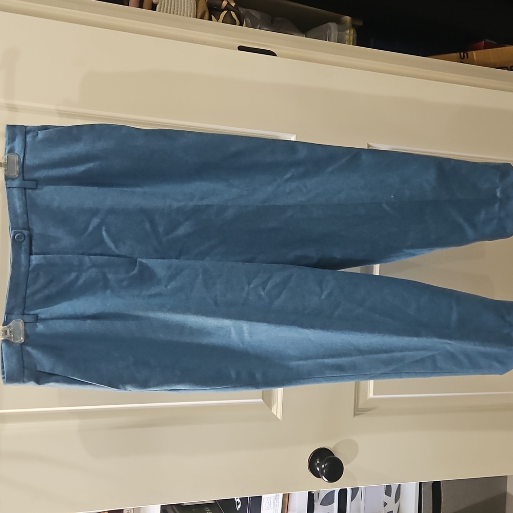 Pendleton Blue Colored 100% Virgin Wool Pants Siz… - image 1